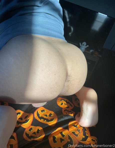beanerboner2 hot pornstar galleries