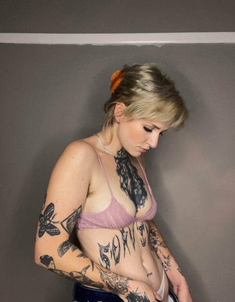 lavenderquinn star best image