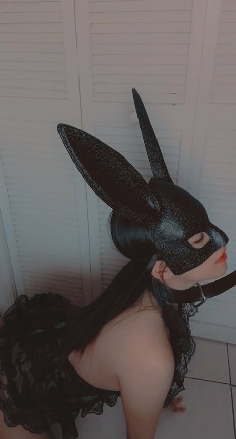 Desiree Bunny model art img