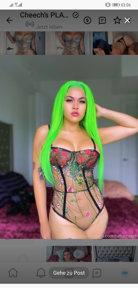 Babycheechtv porn star gallery