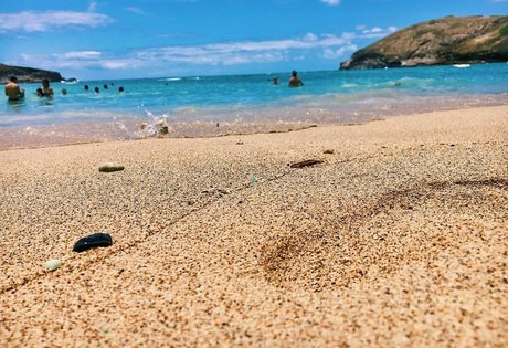 Megan Aisoff sex actress image