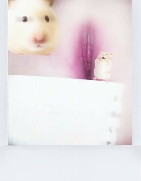 milf pantyhose onlyfans naked img