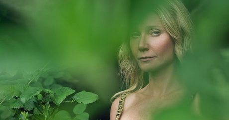 Gwyneth Paltrow nudes pornstar photo