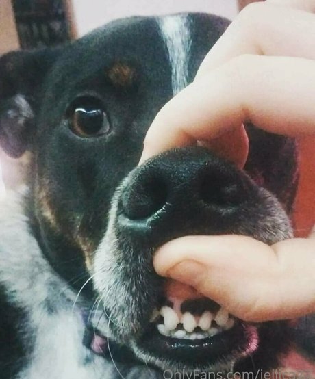 jellica27 hd star photo