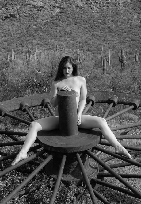 tomcat photography pornstar hot pictures