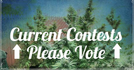 fat redhead onlyfans best archive