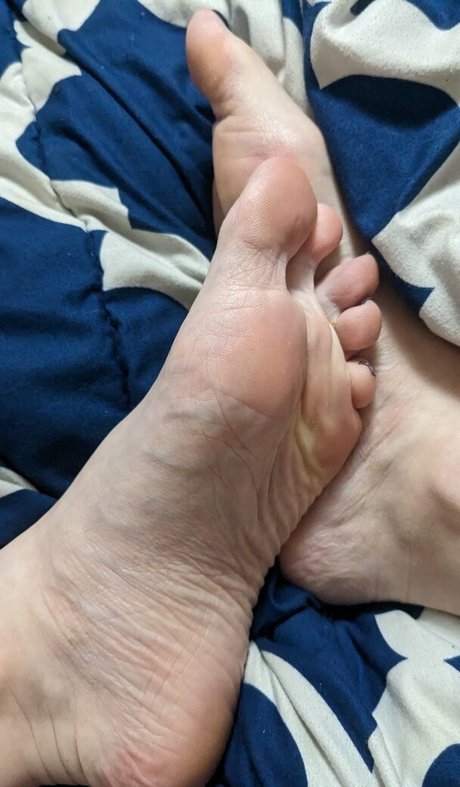 Little Finch star beautiful images