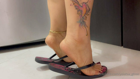 yelahia gfree pornstar best pictures