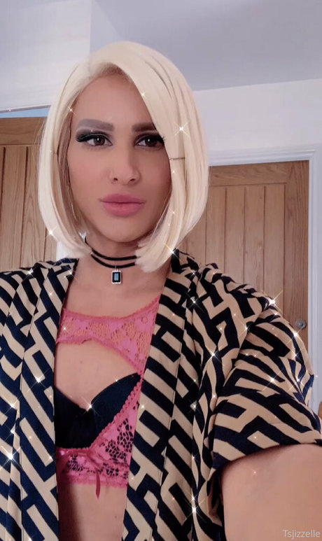 missjizzelle art star gallery