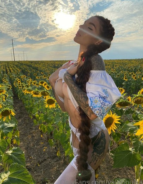 Valeribulka star perfect photo