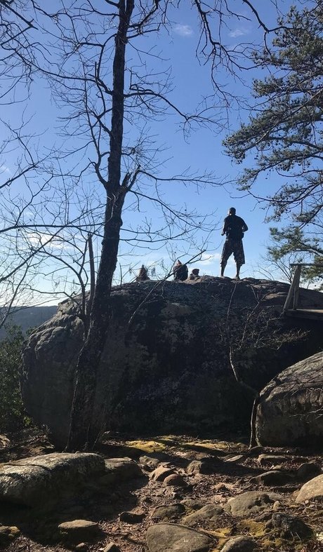 fitnessmodel onlyfans adult image