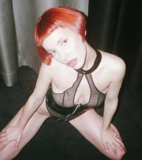 Lotussutra best model images