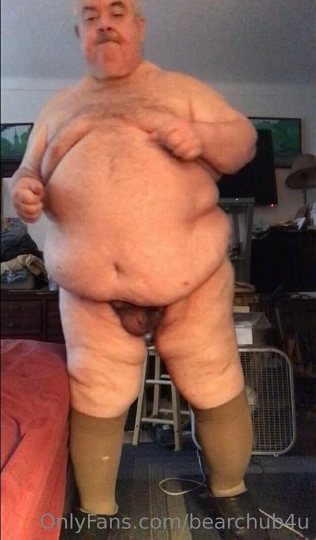 bearchub4u star free photo