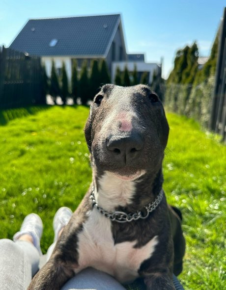 asmrjanina star erotic photos