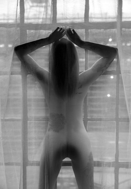 itsfreetorro nice star pics