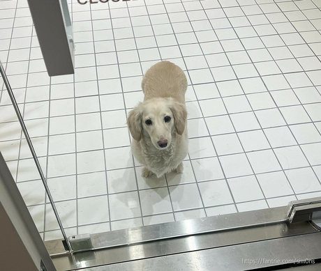 Siw0ns_ nice pornstar gallery