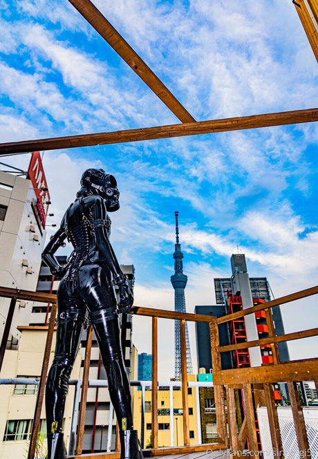 siranegi56 high quality star images