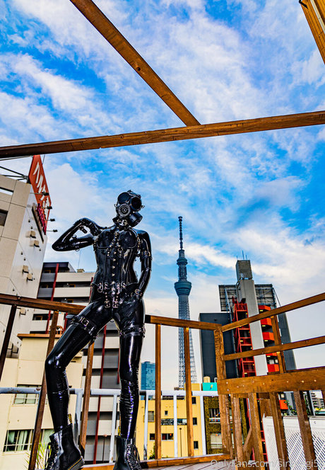 latina solo onlyfans adult img