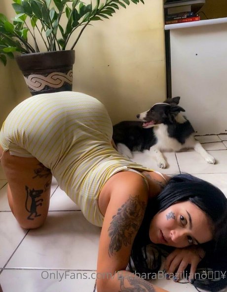 Barbara Brazilian best star gallery