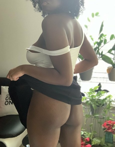 nikkynyxx star perfect galleries