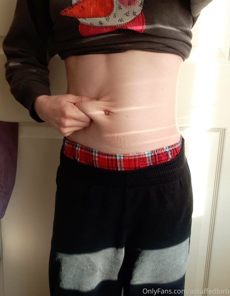 astuffedbirb pornstar nude image