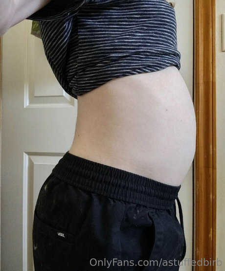 astuffedbirb pornstar sex images