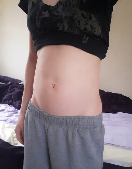 astuffedbirb star hd gallery