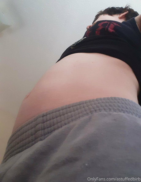 astuffedbirb best model pics