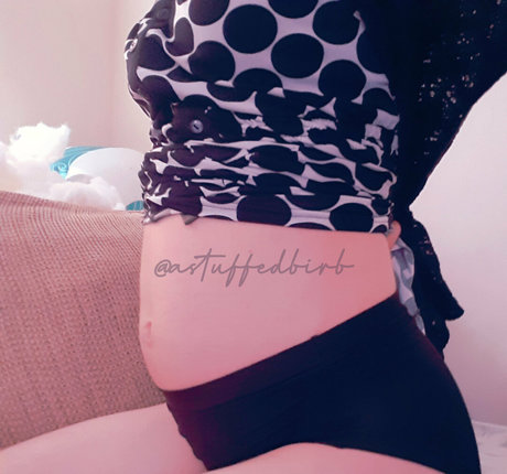 astuffedbirb hd star photos