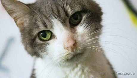 big tits teen onlyfans beautiful nude photo