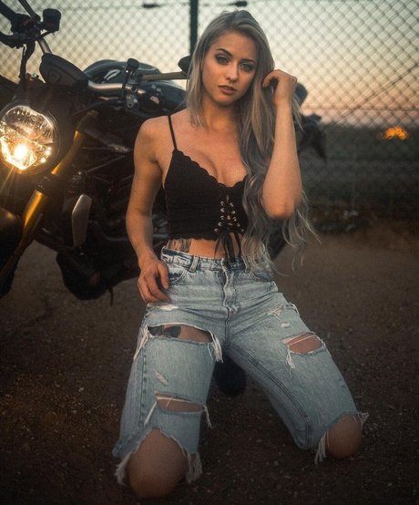 Farbenfuchs perfect model pictures