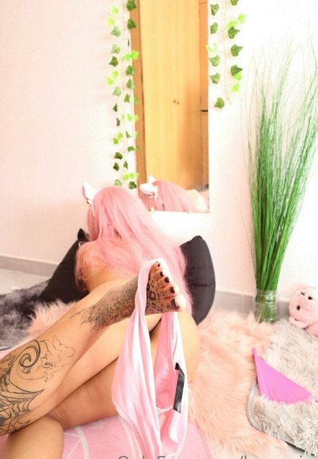 haru vip top star img