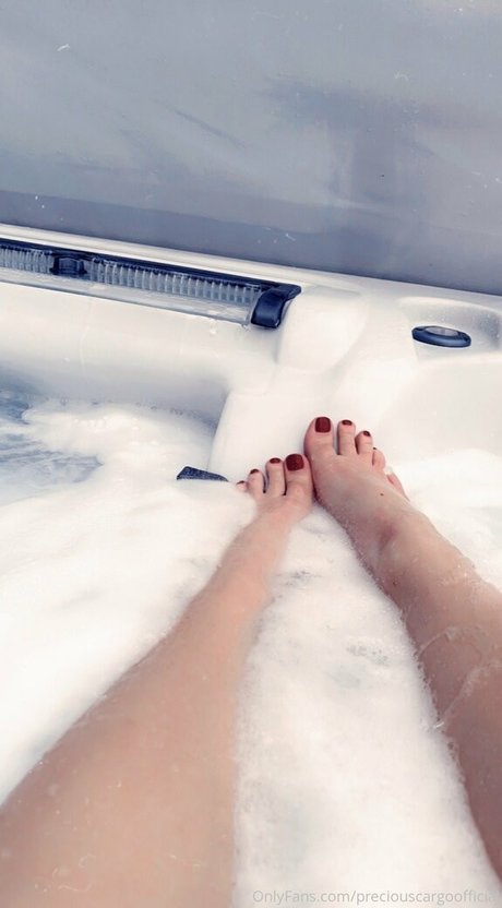 preciouscargoofficial art model images