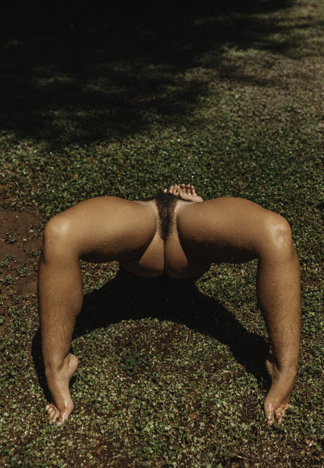 SouthernBooty pornstar high quality galleries