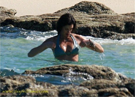 Teri Hatcher pornographic star images