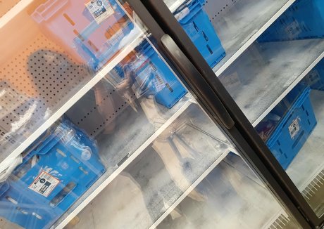 wetkitten666 sex model photos