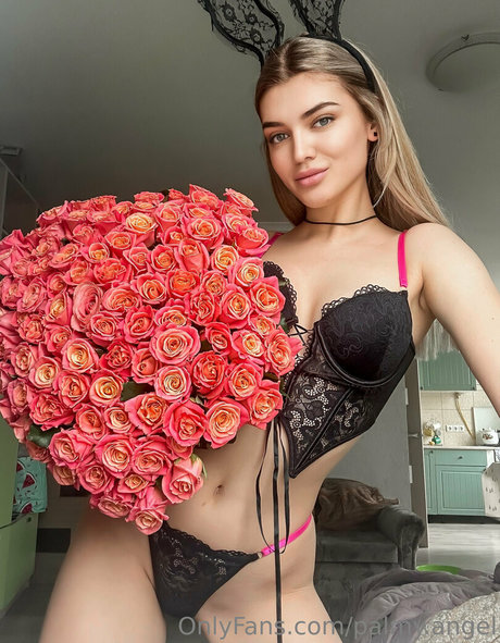 palmy angel star sex image