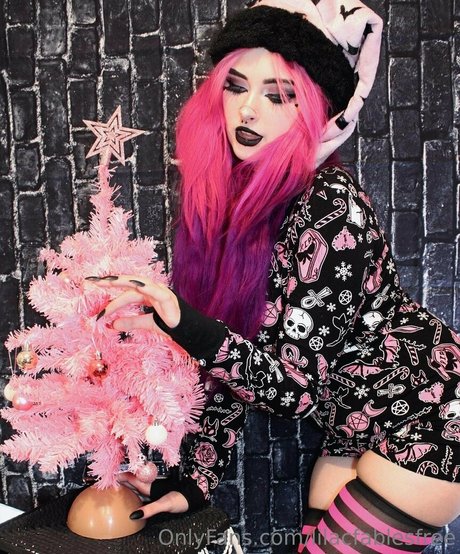 lilacfablesfree star free photos