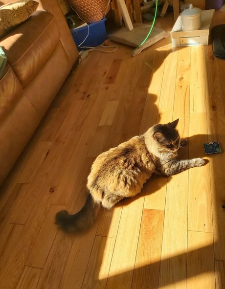 galaximoss pornstar nice pictures