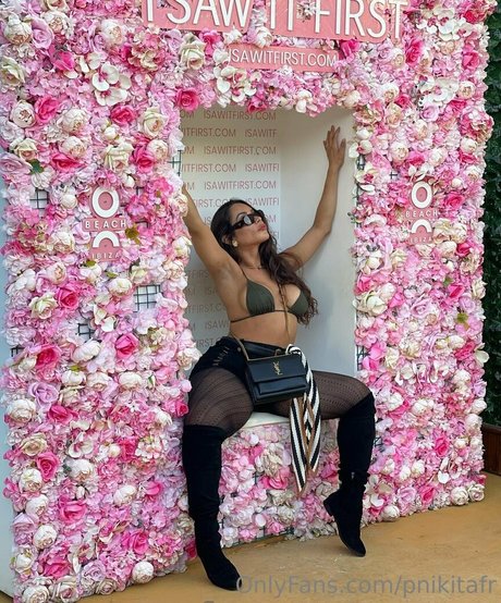 pnikitafr art star images