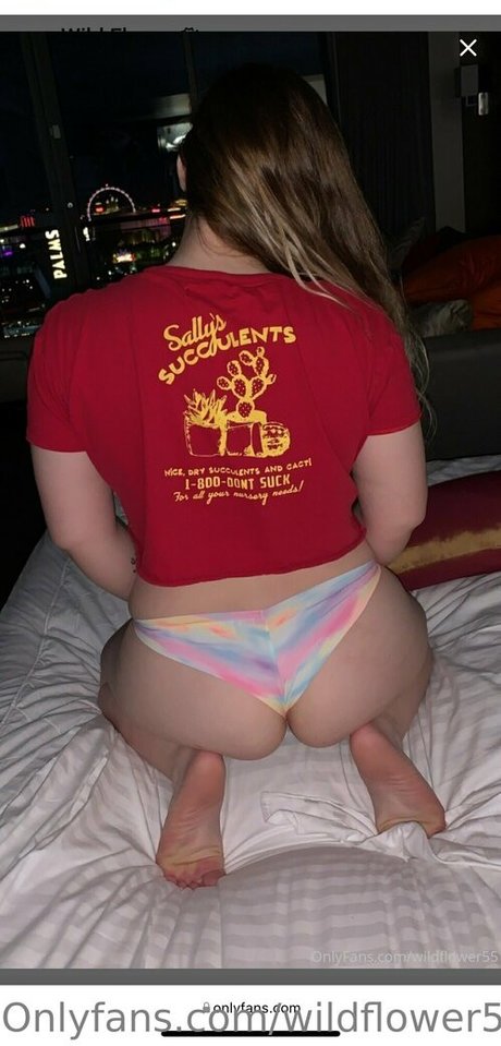 wildflower55free star nude galleries
