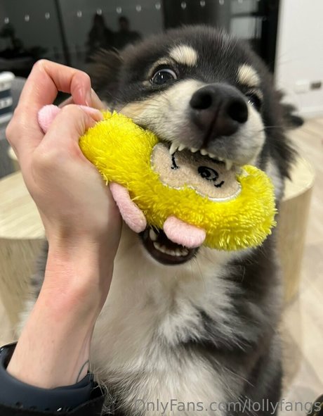 lollyfangs beautiful model galleries