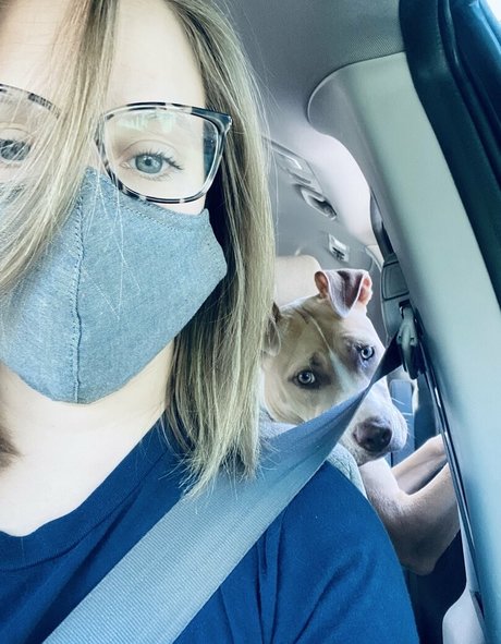 sexttherapy exclusive pornstar archive