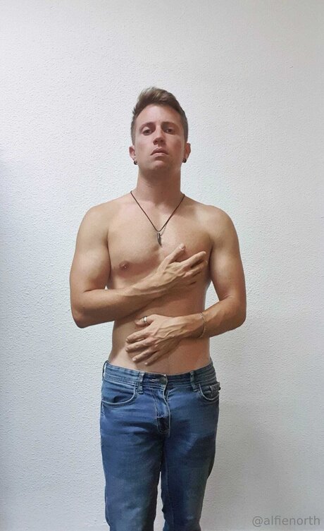 alfienorthfree star high quality pictures