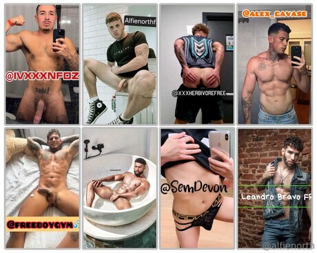 alfienorthfree hot model pic