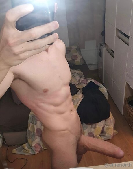 alfienorthfree star sex pictures