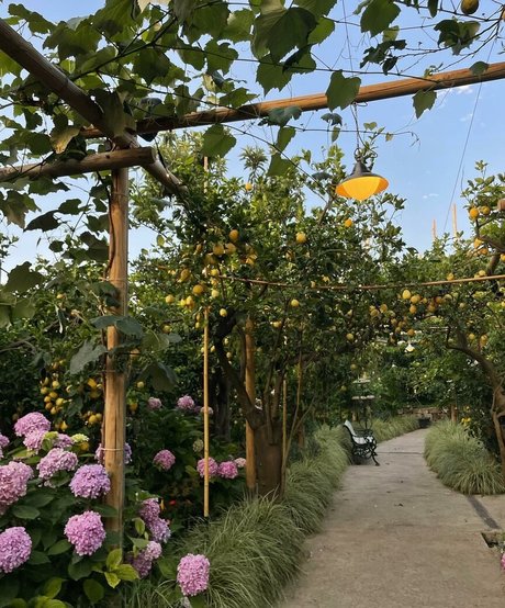 Charlotte Bregman exclusive model pic