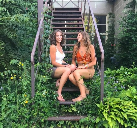 Taylor Francis Quick photo