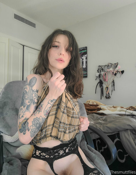 snoot star beautiful img