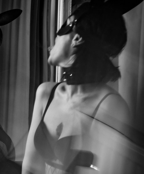 dtp lt top pornstar gallery